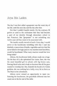 Books_When Arya Fell Through the Fault_2